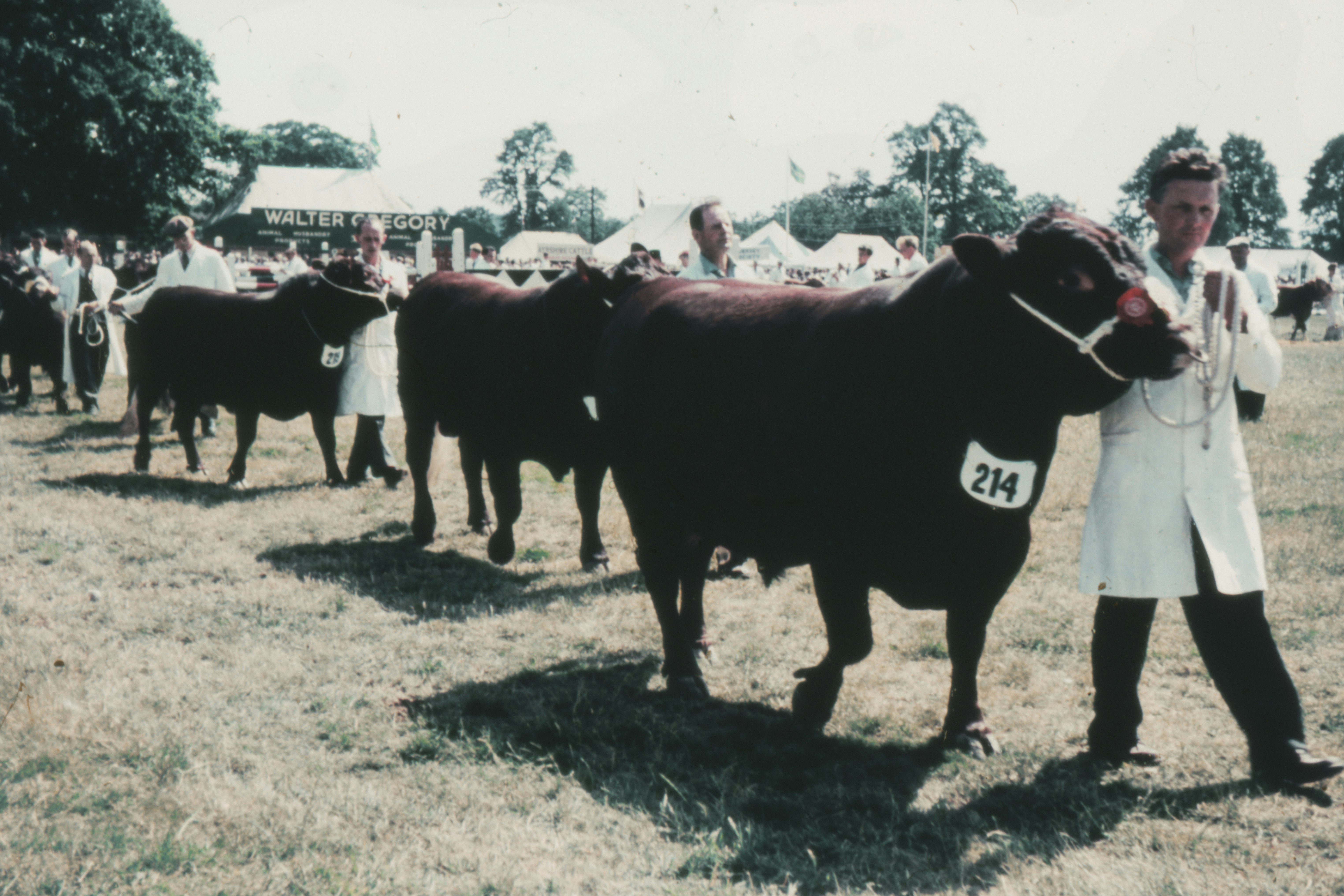 grayscale photo of people on grass field